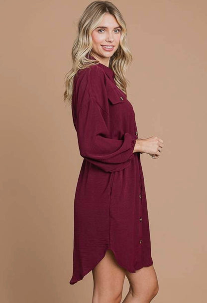 Drawstring Waist Shirt Dress