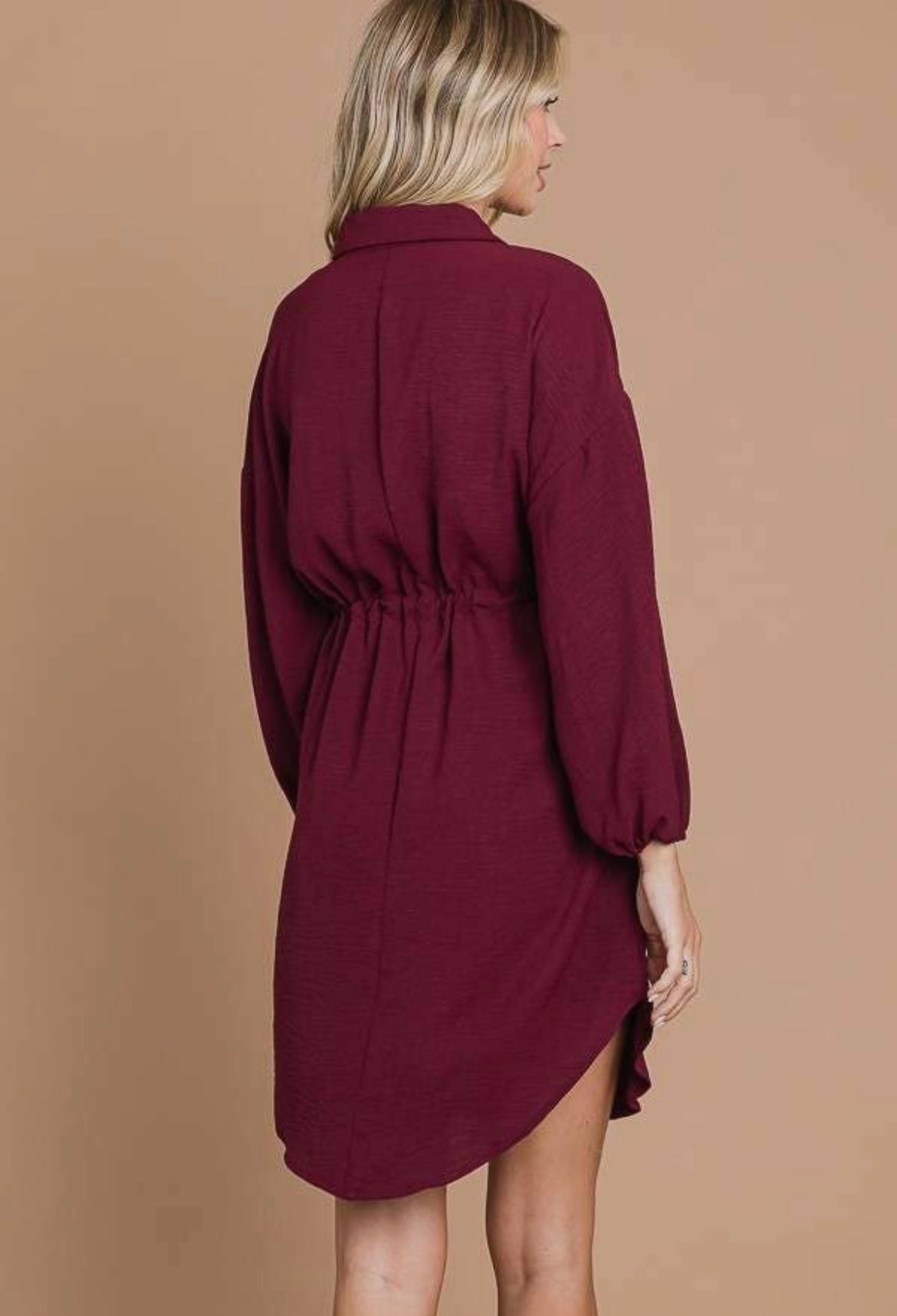 Drawstring Waist Shirt Dress